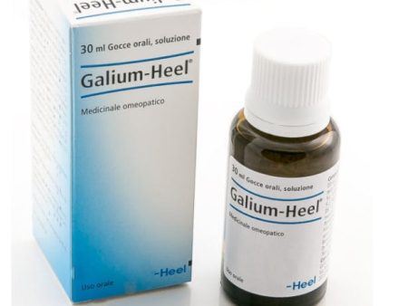 Galium Heel Gocce 30 ml For Discount