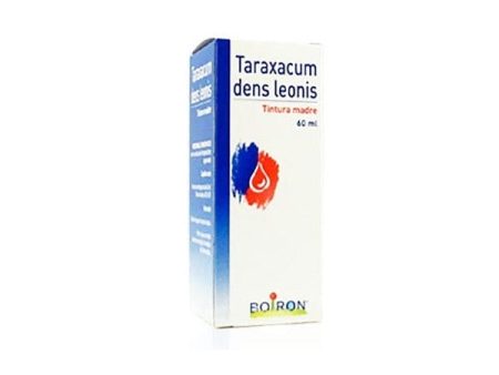 Taraxacum Dens Leonis TM 60 ml For Discount