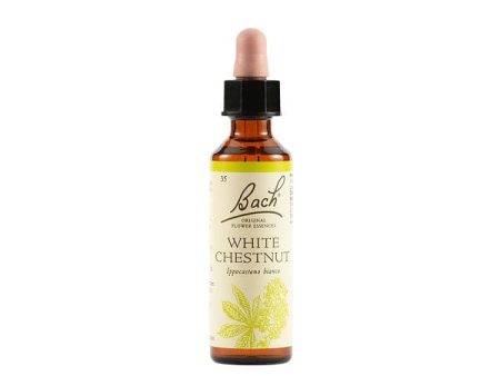 White Chestnut Bach Gocce 20 ml Online Hot Sale