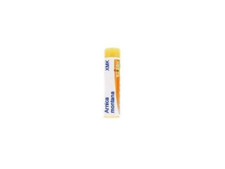 Arnica Montana XM K Globuli Cheap