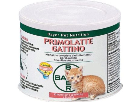 Gattino 200 g For Discount