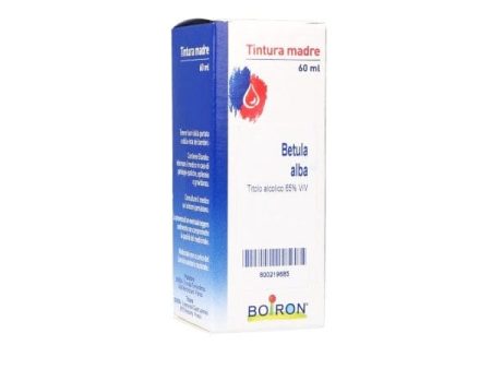 Betula Alba (Verrucosa) TM 60 ml on Sale